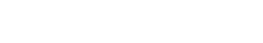 Shopify Partner Shop